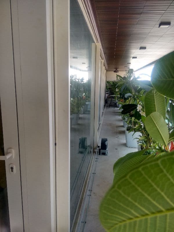 Automated Acoustic Window